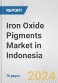 Iron Oxide Pigments Market in Indonesia: Business Report 2024- Product Image
