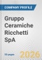 Gruppo Ceramiche Ricchetti SpA Fundamental Company Report Including Financial, SWOT, Competitors and Industry Analysis - Product Thumbnail Image