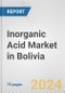 Inorganic Acid Market in Bolivia: Business Report 2024 - Product Thumbnail Image