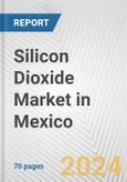Silicon Dioxide Market in Mexico: Business Report 2024- Product Image