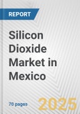 Silicon Dioxide Market in Mexico: Business Report 2024- Product Image