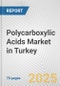 Polycarboxylic Acids Market in Turkey: Business Report 2024 - Product Thumbnail Image