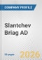 Slantchev Briag AD Fundamental Company Report Including Financial, SWOT, Competitors and Industry Analysis - Product Thumbnail Image