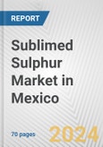Sublimed Sulphur Market in Mexico: Business Report 2024- Product Image