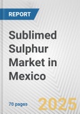 Sublimed Sulphur Market in Mexico: Business Report 2024- Product Image