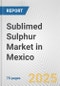 Sublimed Sulphur Market in Mexico: Business Report 2024 - Product Image