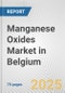 Manganese Oxides Market in Belgium: Business Report 2025 - Product Thumbnail Image