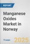 Manganese Oxides Market in Norway: Business Report 2025 - Product Thumbnail Image
