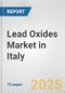 Lead Oxides Market in Italy: Business Report 2025 - Product Thumbnail Image