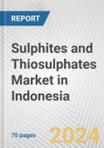 Sulphites and Thiosulphates Market in Indonesia: Business Report 2024- Product Image