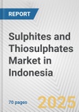 Sulphites and Thiosulphates Market in Indonesia: Business Report 2025- Product Image