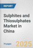 Sulphites and Thiosulphates Market in China: Business Report 2025- Product Image