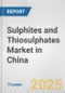 Sulphites and Thiosulphates Market in China: Business Report 2024 - Product Image