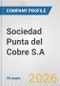 Sociedad Punta del Cobre S.A. Fundamental Company Report Including Financial, SWOT, Competitors and Industry Analysis - Product Thumbnail Image