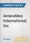 AmeraMex International, Inc. Fundamental Company Report Including Financial, SWOT, Competitors and Industry Analysis - Product Thumbnail Image