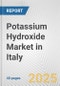 Potassium Hydroxide Market in Italy: 2019-2024 Review and Forecast to 2029 - Product Thumbnail Image