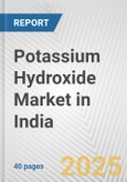 Potassium Hydroxide Market in India: 2019-2024 Review and Forecast to 2029- Product Image