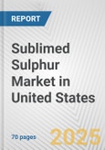 Sublimed Sulphur Market in United States: Business Report 2024- Product Image