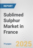 Sublimed Sulphur Market in France: Business Report 2024- Product Image