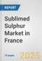 Sublimed Sulphur Market in France: Business Report 2024 - Product Thumbnail Image