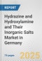 Hydrazine and Hydroxylamine and Their Inorganic Salts Market in Germany: Business Report 2024 - Product Thumbnail Image