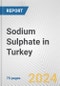 Sodium Sulphate in Turkey: Business Report 2024 - Product Image