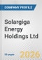 Solargiga Energy Holdings Ltd. Fundamental Company Report Including Financial, SWOT, Competitors and Industry Analysis - Product Thumbnail Image