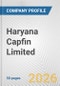 Haryana Capfin Limited Fundamental Company Report Including Financial, SWOT, Competitors and Industry Analysis - Product Thumbnail Image
