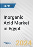 Inorganic Acid Market in Egypt: Business Report 2024- Product Image