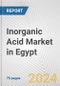 Inorganic Acid Market in Egypt: Business Report 2024 - Product Image