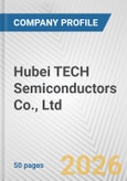 Hubei TECH Semiconductors Co., Ltd. Fundamental Company Report Including Financial, SWOT, Competitors and Industry Analysis- Product Image