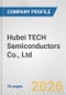 Hubei TECH Semiconductors Co., Ltd. Fundamental Company Report Including Financial, SWOT, Competitors and Industry Analysis - Product Thumbnail Image