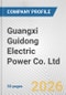 Guangxi Guidong Electric Power Co. Ltd. Fundamental Company Report Including Financial, SWOT, Competitors and Industry Analysis - Product Thumbnail Image