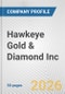 Hawkeye Gold & Diamond Inc. Fundamental Company Report Including Financial, SWOT, Competitors and Industry Analysis - Product Thumbnail Image