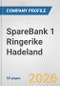 SpareBank 1 Ringerike Hadeland Fundamental Company Report Including Financial, SWOT, Competitors and Industry Analysis - Product Thumbnail Image