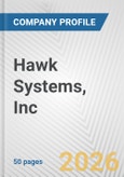 Hawk Systems, Inc. Fundamental Company Report Including Financial, SWOT, Competitors and Industry Analysis- Product Image