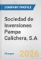Sociedad de Inversiones Pampa Calichera, S.A. Fundamental Company Report Including Financial, SWOT, Competitors and Industry Analysis - Product Thumbnail Image