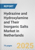 Hydrazine and Hydroxylamine and Their Inorganic Salts Market in Netherlands: Business Report 2024- Product Image