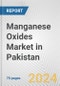 Manganese Oxides Market in Pakistan: Business Report 2024 - Product Thumbnail Image