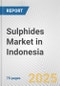 Sulphides Market in Indonesia: Business Report 2024 - Product Image