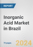Inorganic Acid Market in Brazil: Business Report 2024- Product Image