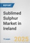 Sublimed Sulphur Market in Ireland: Business Report 2024 - Product Image