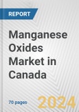 Manganese Oxides Market in Canada: Business Report 2024- Product Image
