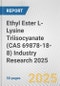 Ethyl Ester L-Lysine Triisocyanate (CAS 69878-18-8) Industry Research 2025: Global and Regional Market Trends 2019-2024 and Forecast to 2029 - Product Thumbnail Image