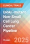 BRAF-mutant Non-Small Cell Lung Cancer (BRAF + NSCLC) - Pipeline Insight, 2024 - Product Thumbnail Image