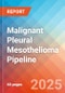 Malignant Pleural Mesothelioma - Pipeline Insight, 2024 - Product Thumbnail Image