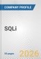 SQLi Fundamental Company Report Including Financial, SWOT, Competitors and Industry Analysis - Product Thumbnail Image