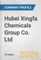 Hubei Xingfa Chemicals Group Co. Ltd. Fundamental Company Report Including Financial, SWOT, Competitors and Industry Analysis - Product Thumbnail Image