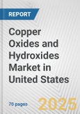 Copper Oxides and Hydroxides Market in United States: Business Report 2024- Product Image