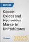 Copper Oxides and Hydroxides Market in United States: Business Report 2025 - Product Thumbnail Image